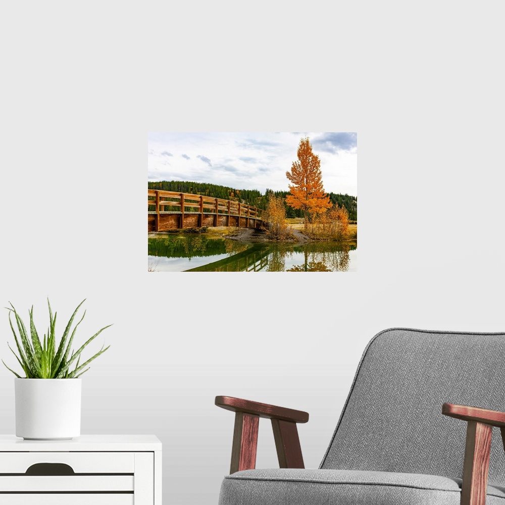 A modern room featuring Wooden footbridge over a tranquil pond in autumn, Banff National Park; Banff, Alberta, Canada