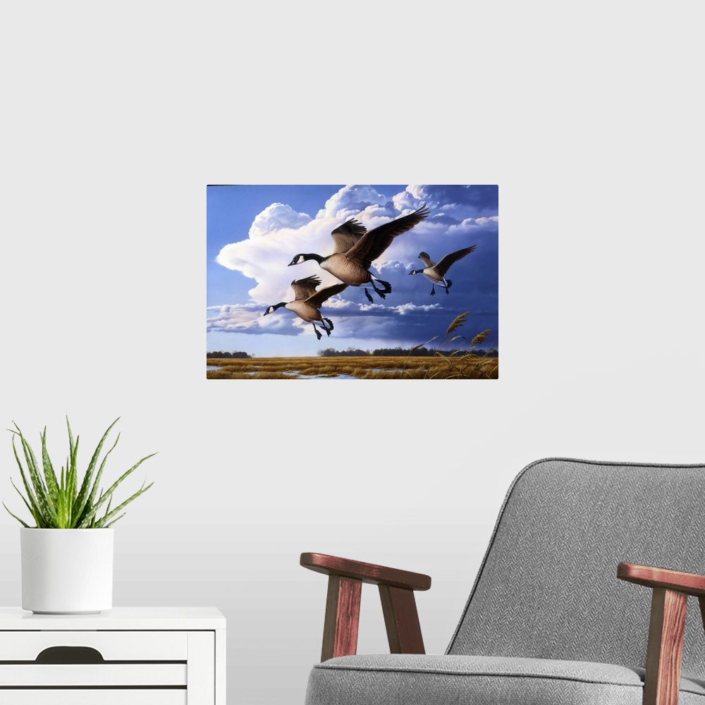 A modern room featuring Geese