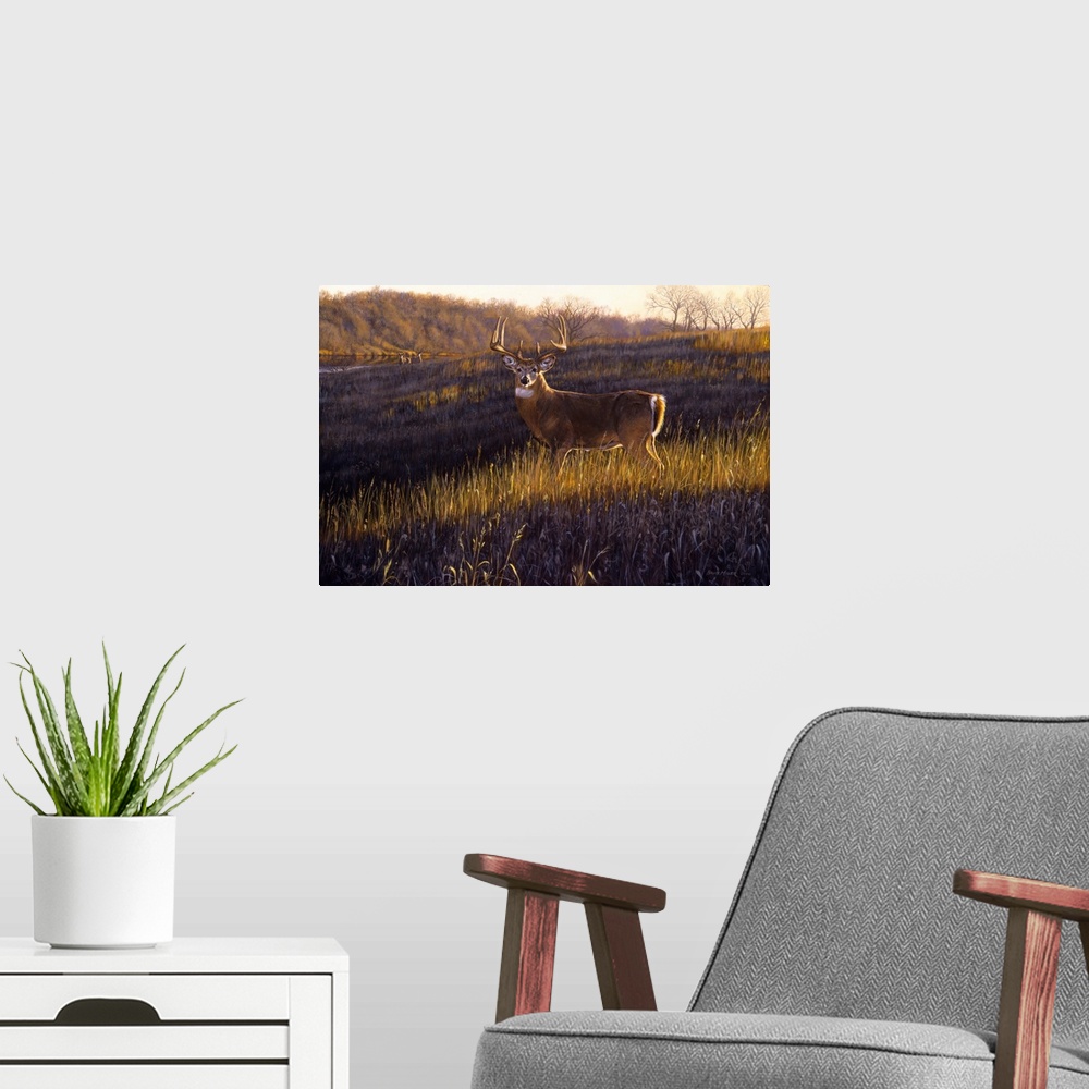 A modern room featuring Zone 4 - Big Country Whitetails