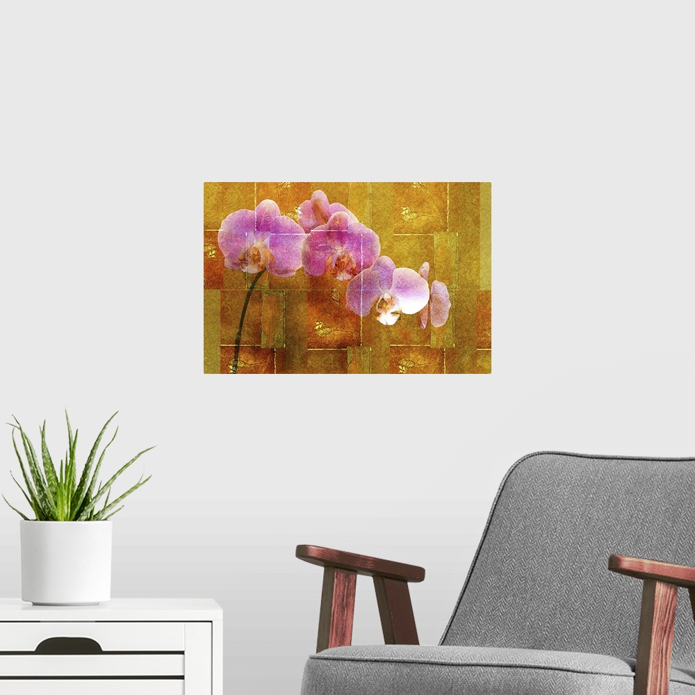 A modern room featuring Sheer Pink Orchid