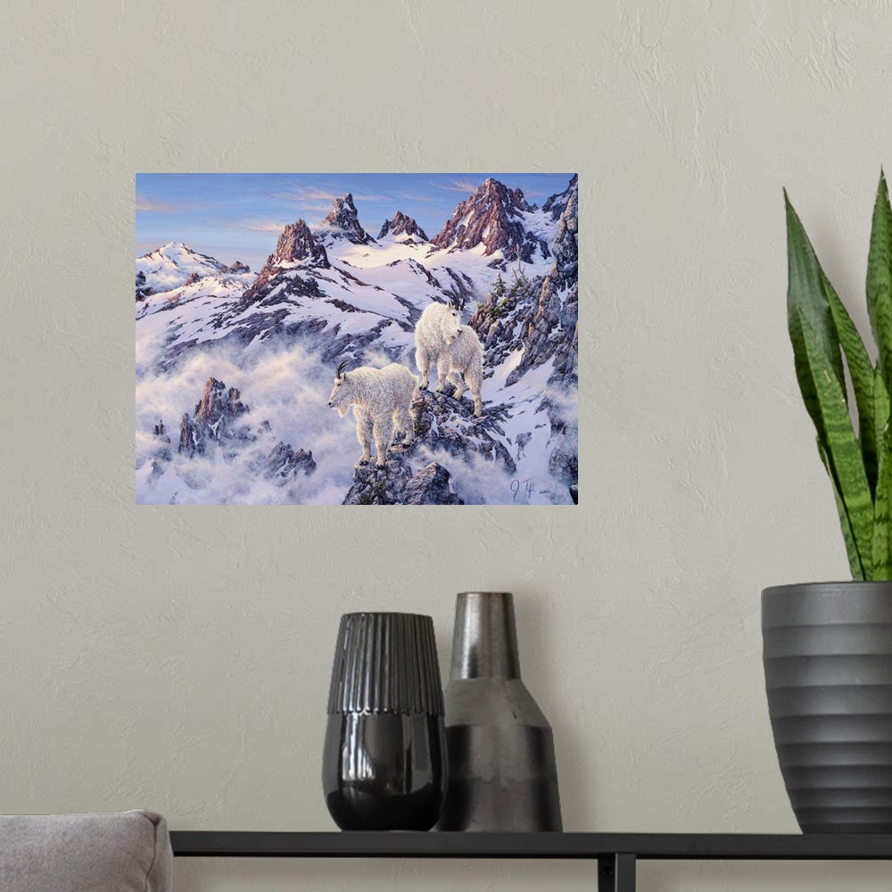 A modern room featuring Mountain goats on snowy, rocky ledges.winter mountain