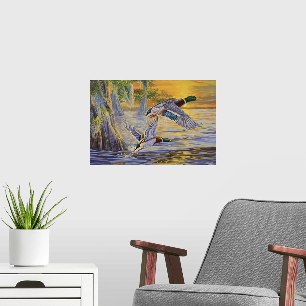 A modern room featuring Mallard ducks at sunset