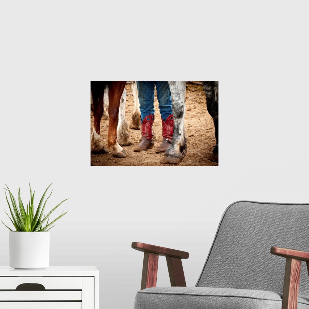 A modern room featuring Photograph of red cowboy boots and horse hooves.