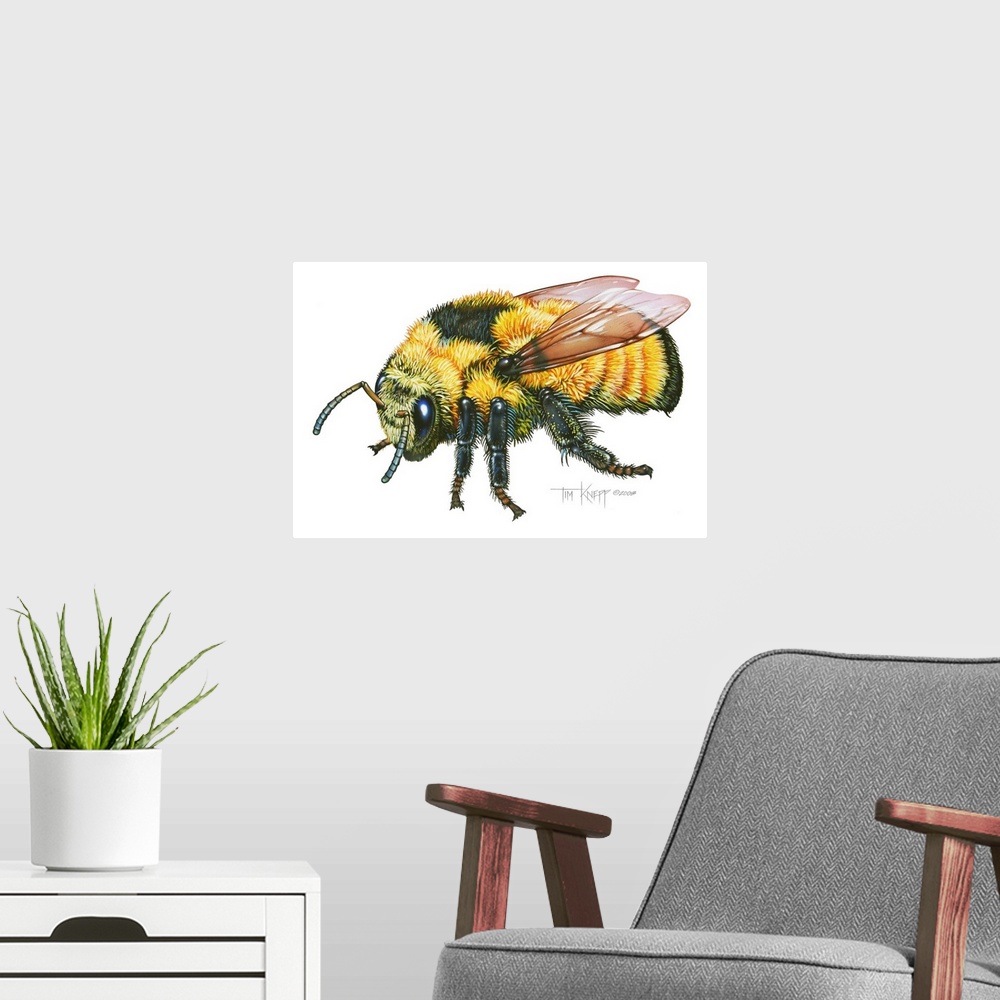 A modern room featuring Bumble Bee