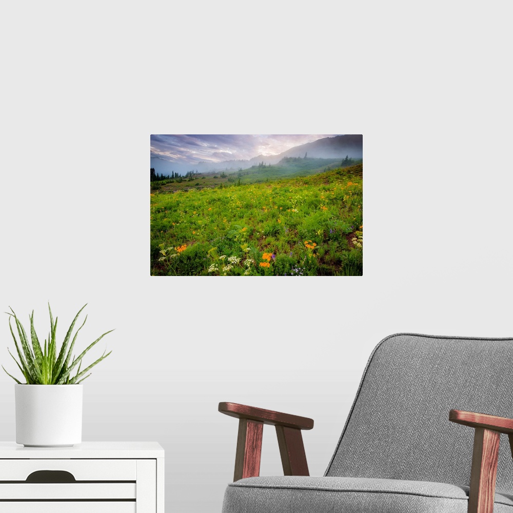 A modern room featuring Flowers in a Colorado field, color photograph