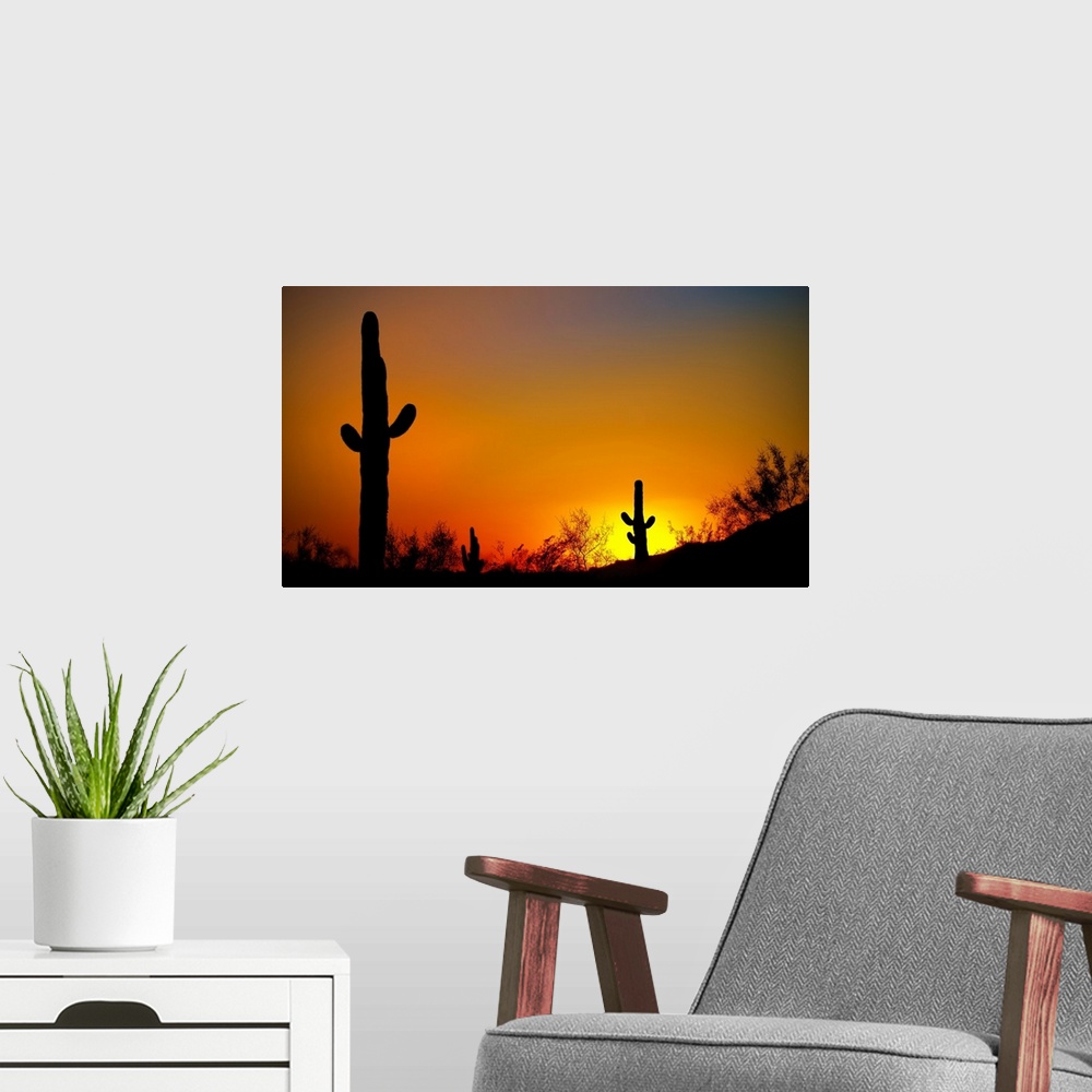 A modern room featuring Desert Sunset