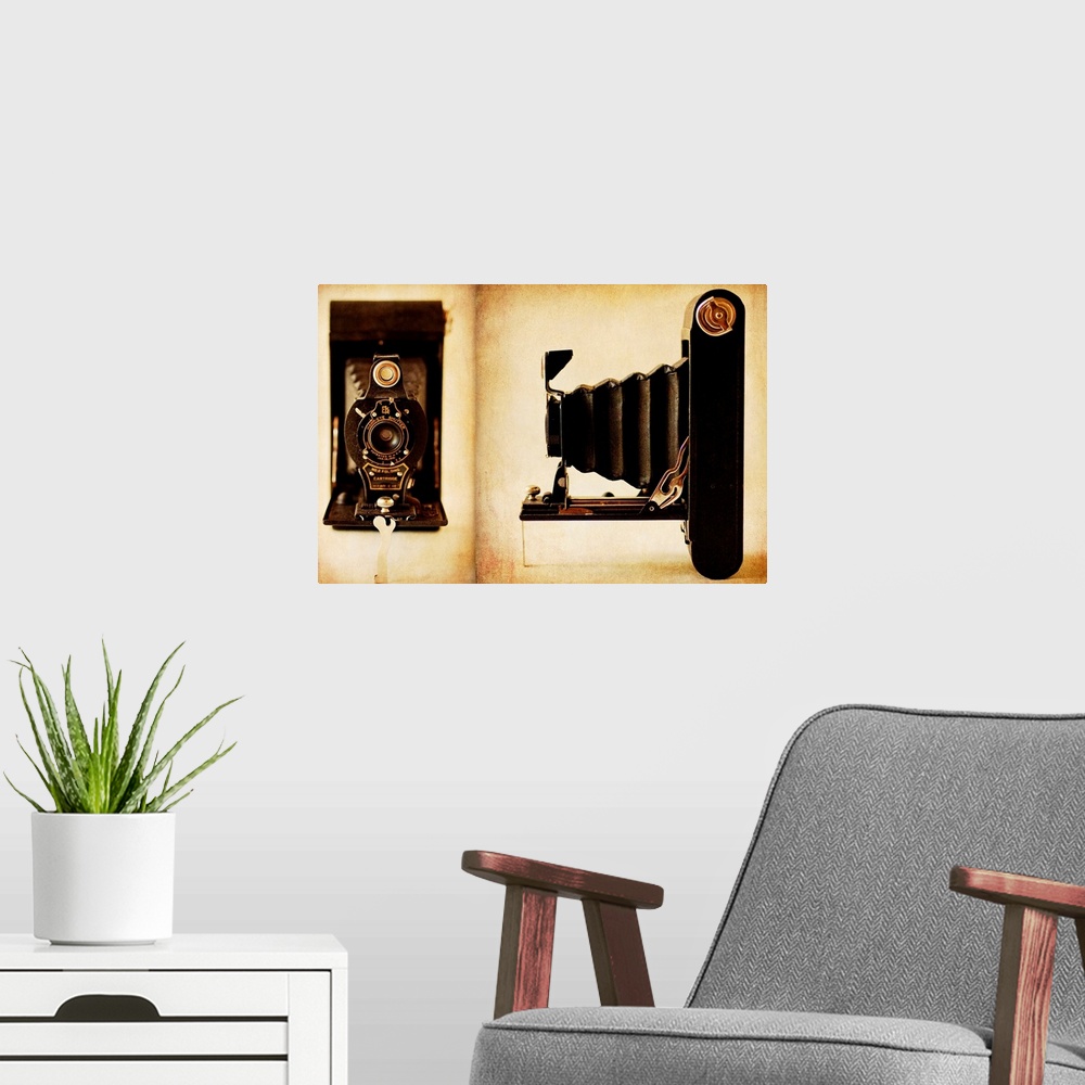 A modern room featuring Diptych Kodak Hawkeye No2 Folding