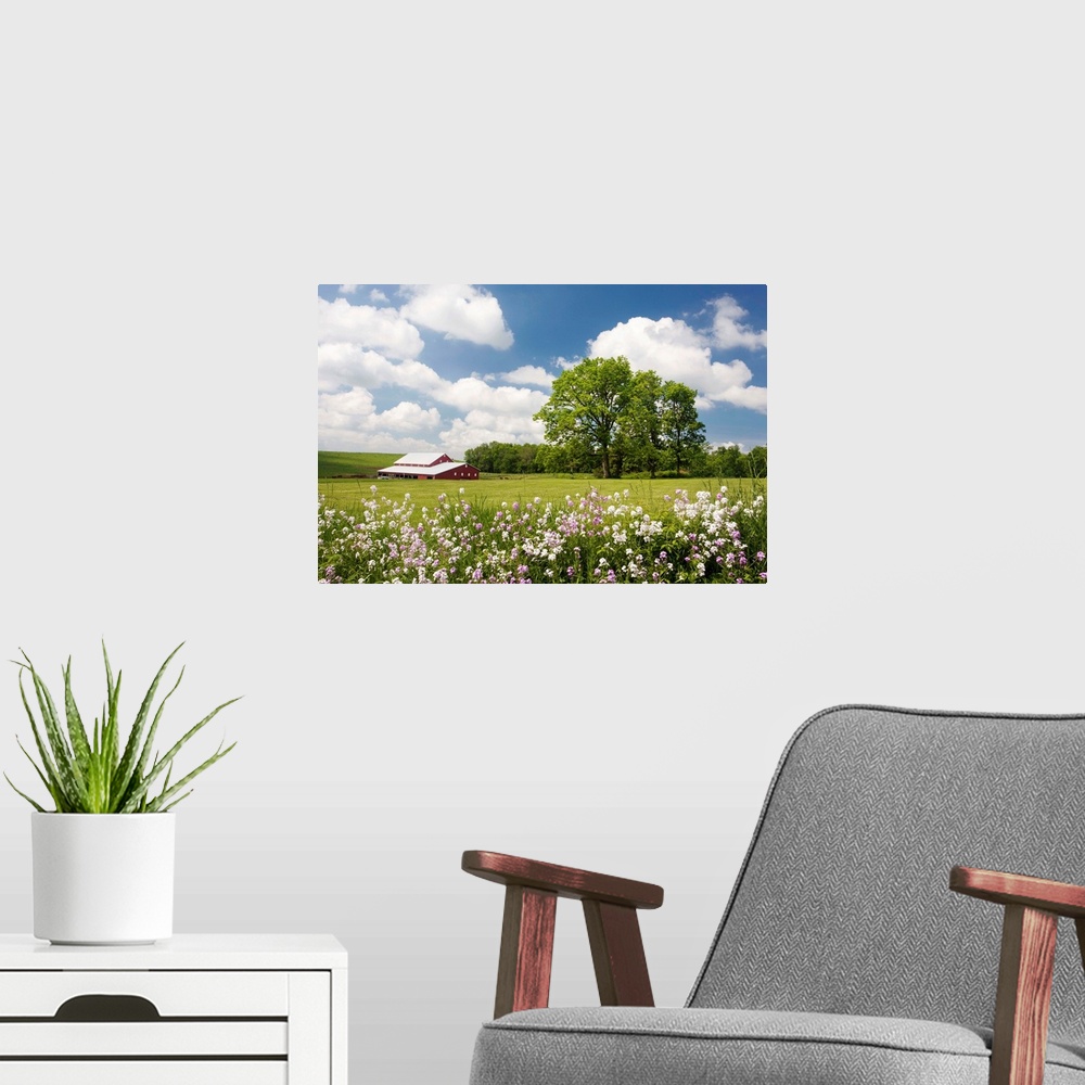 A modern room featuring Photograph of a rural field filled with wildflowers.