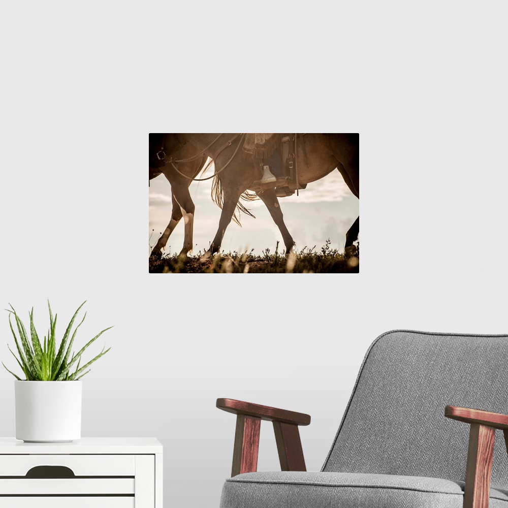 A modern room featuring Photograph of a horse from the stomach down.