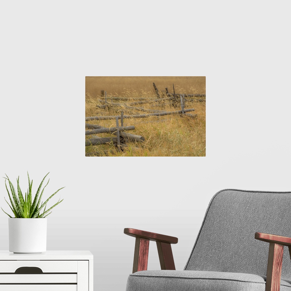 A modern room featuring A photograph of a fence sitting in a grassy landscape.