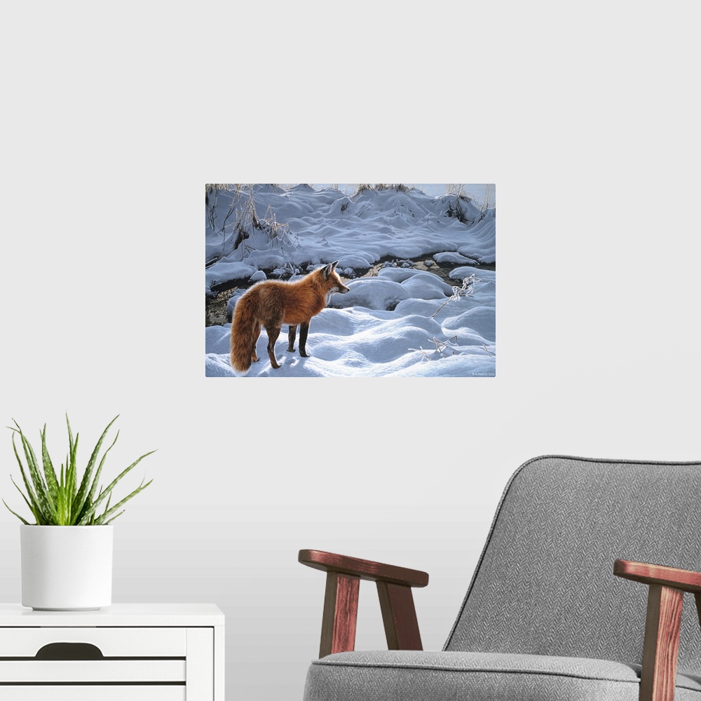 A modern room featuring A red fox standing next to a stream in the snow.