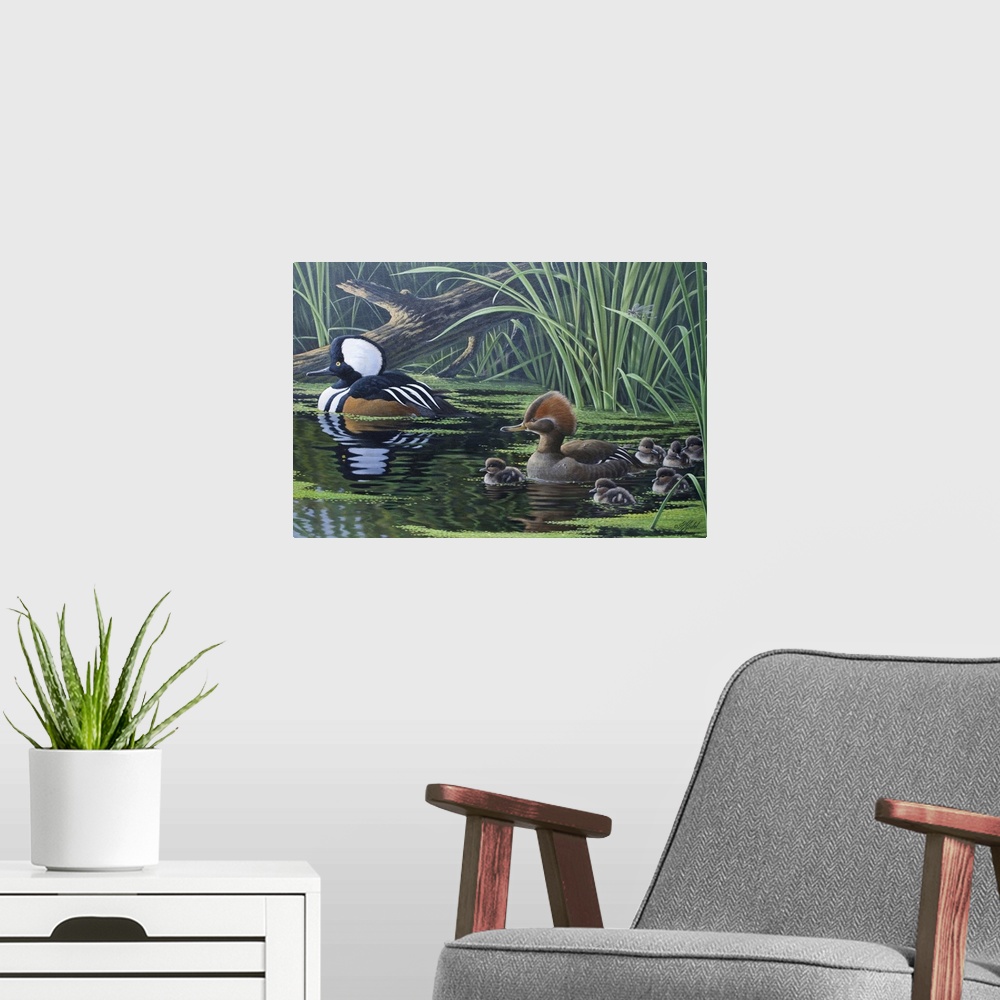 A modern room featuring Ducks floating by tall water grass and lily pads.