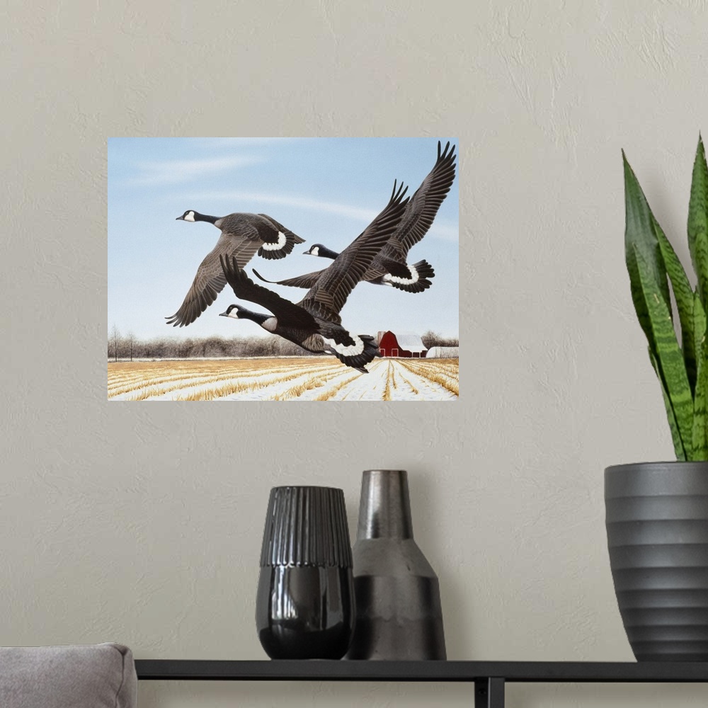 A modern room featuring Three Canada geese flying over a farmer's field.