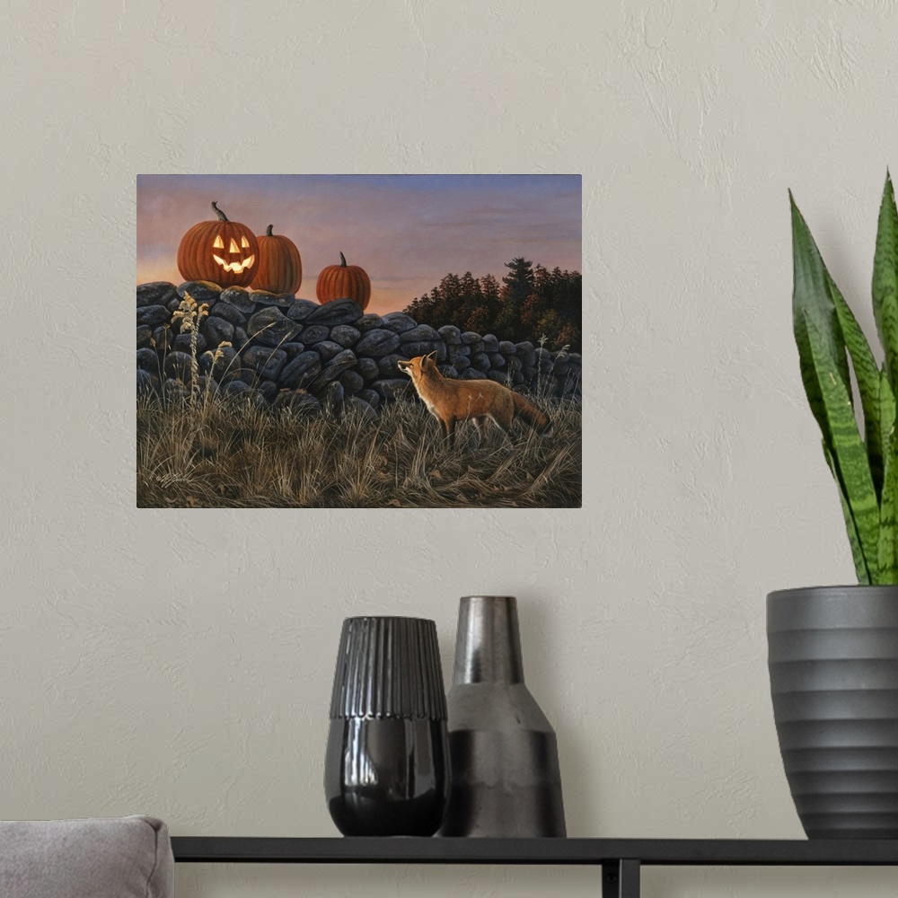 A modern room featuring Three pumpkins on a stone wall - one is carved with a face and a candle inside - a red fox is in ...