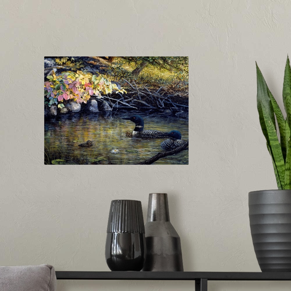 A modern room featuring Contemporary artwork of two common loons and their chicks.