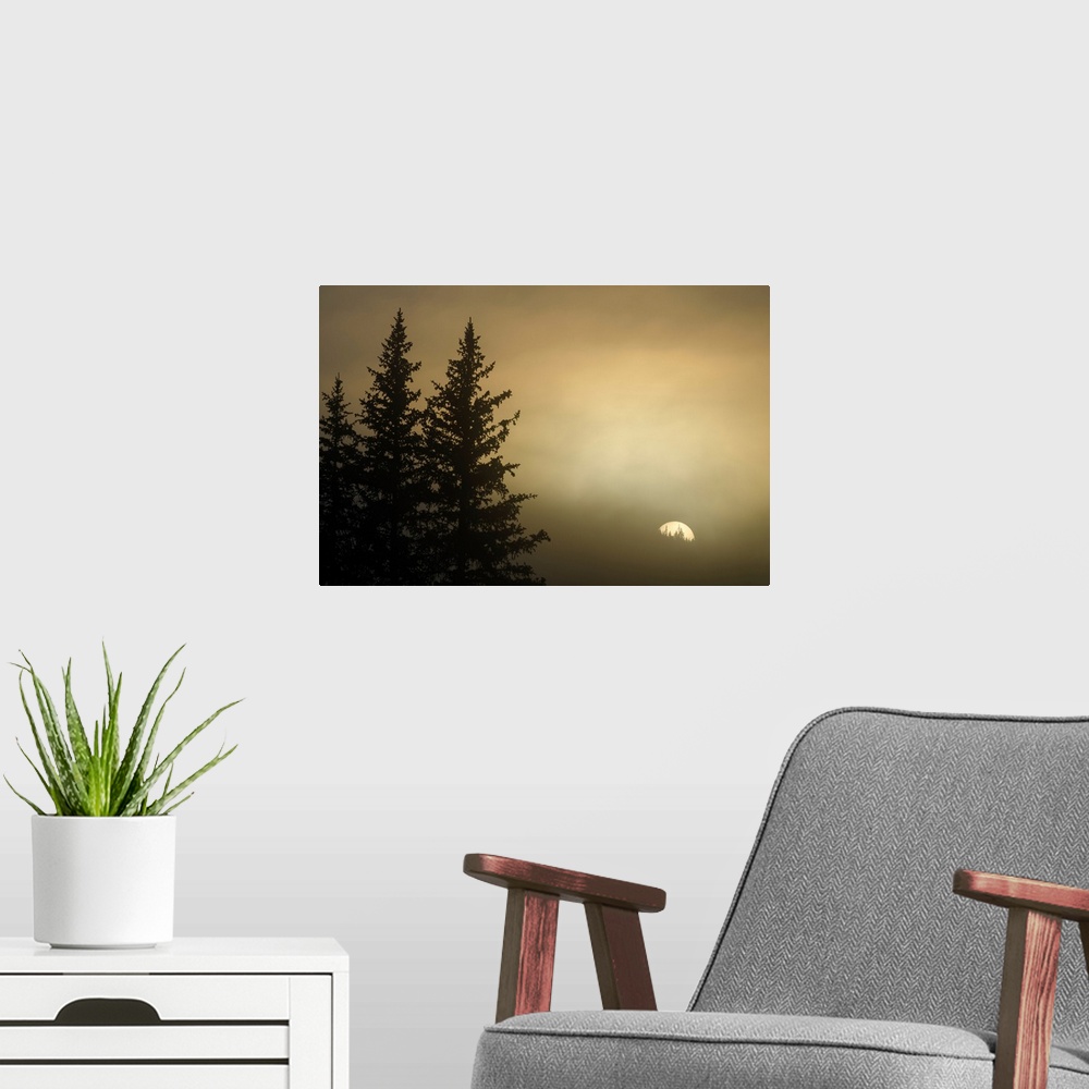 A modern room featuring Photograph of the sun rising on a foggy morning with pine trees on the side.
