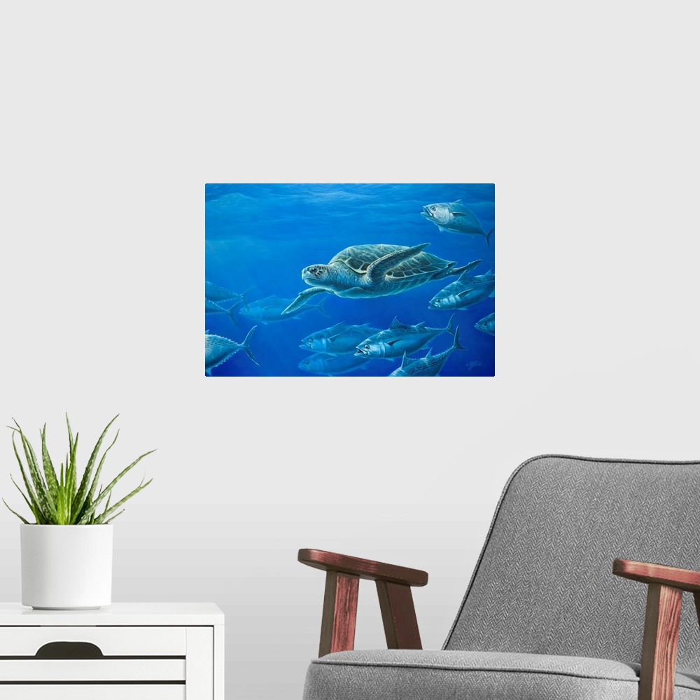 A modern room featuring Sea turtle swimming among the other sea life in the ocean.
