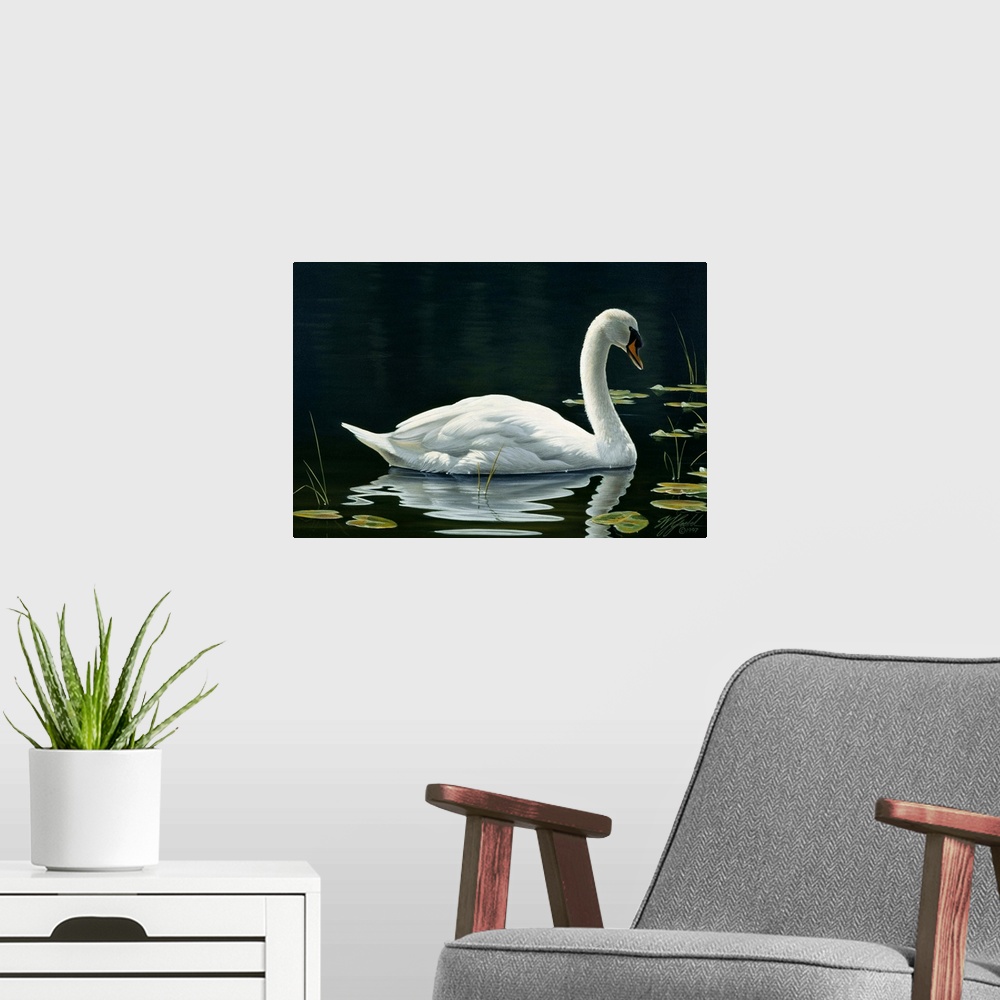 A modern room featuring Swan swimming on still water.