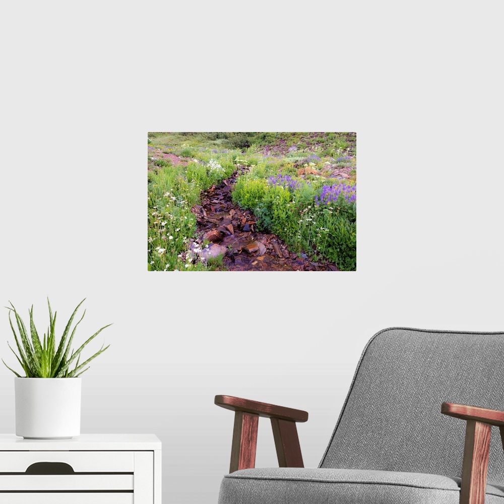 A modern room featuring Photograph of a small rocky creek surrounded with wildflowers.