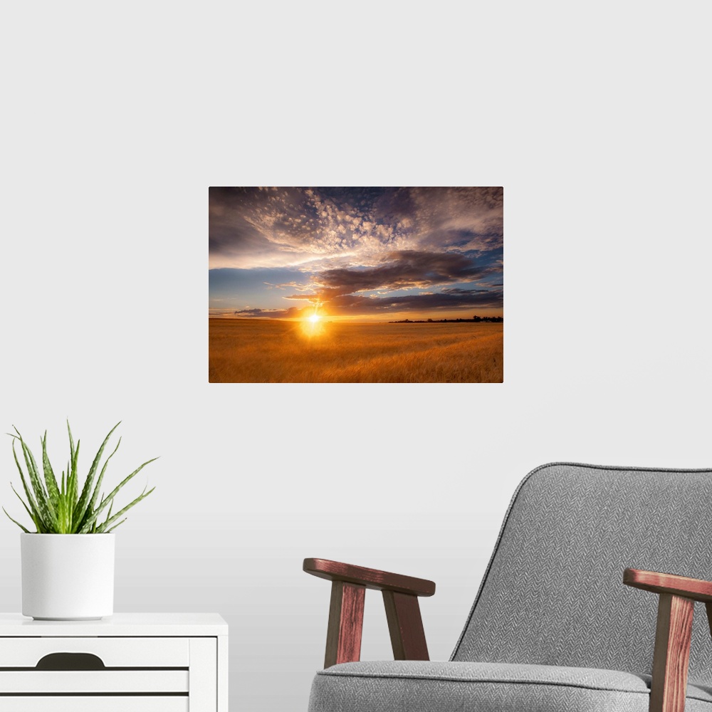A modern room featuring Landscape photograph of a field with the sun rising right on the horizon line and patterned cloud...