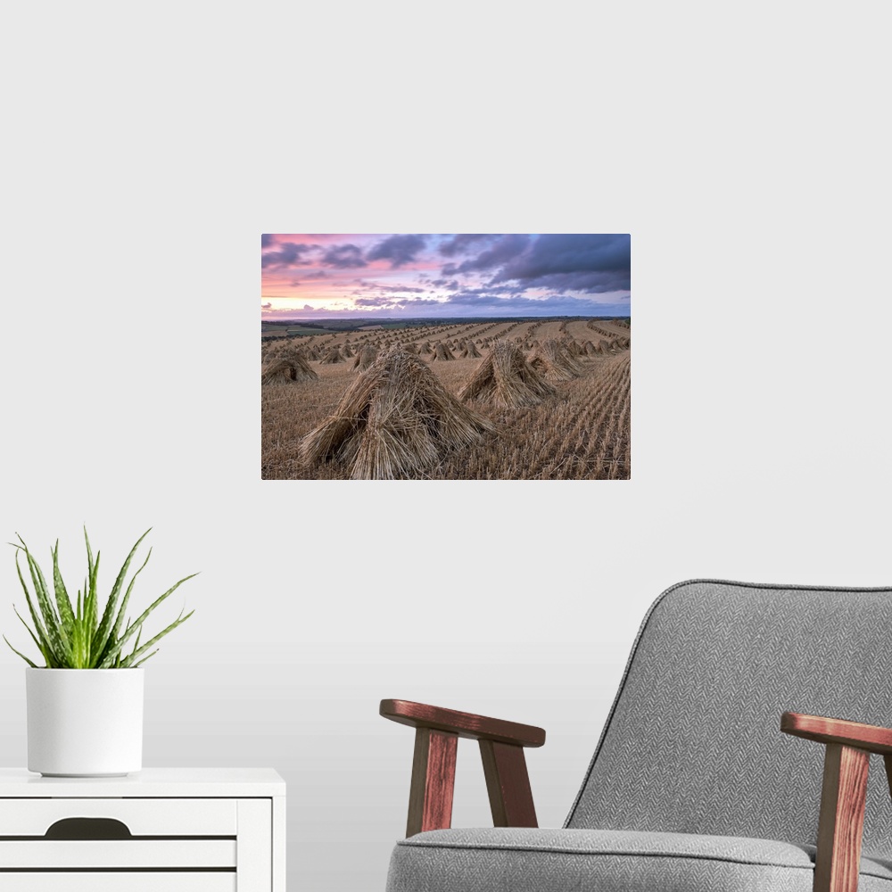 A modern room featuring Haystacks in a field under a sky with pink and purple sunset light.