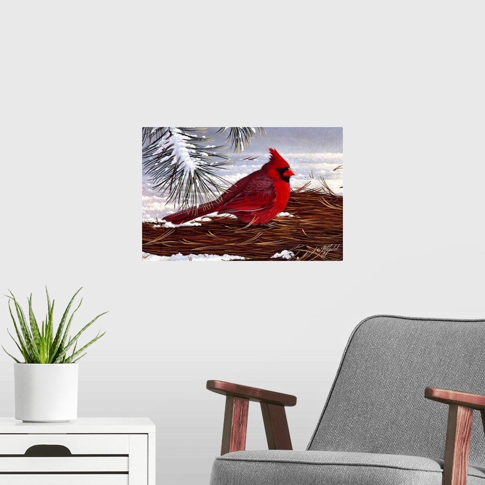 A modern room featuring Male cardinal on ground in winter.