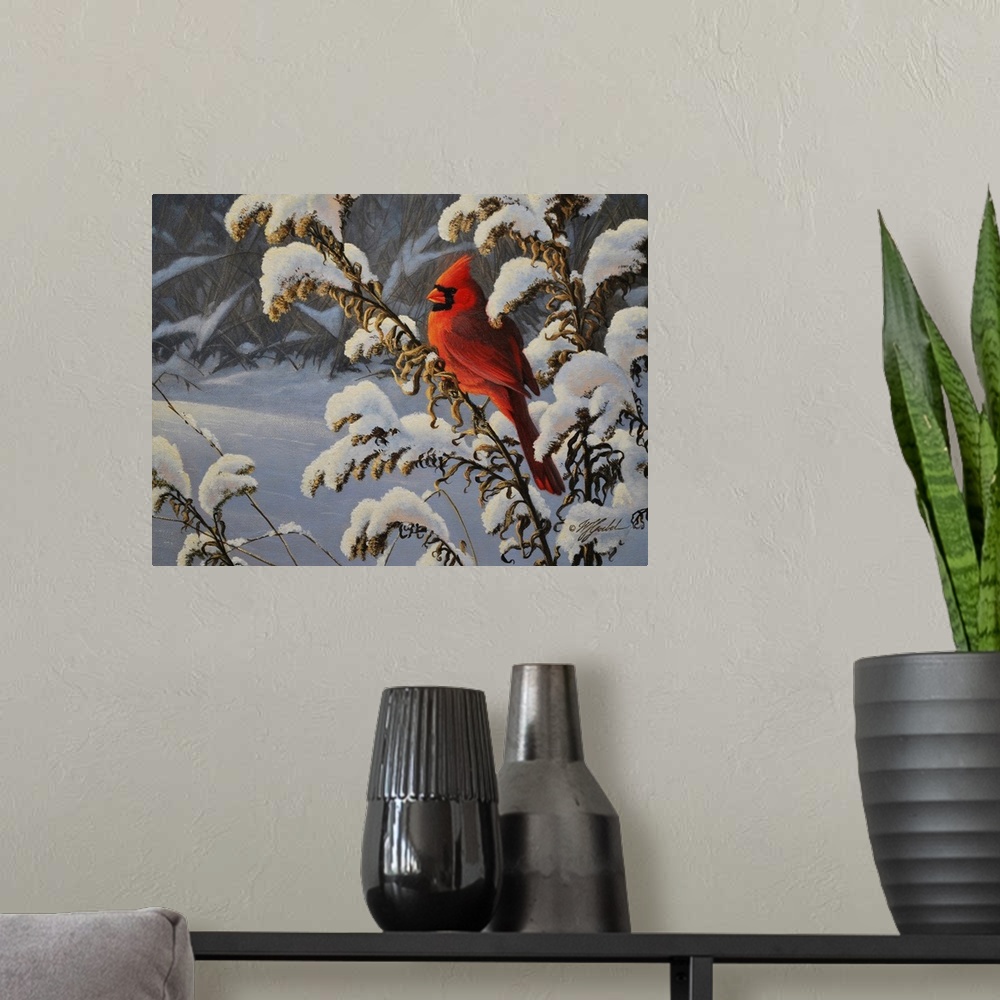 A modern room featuring Winter Cardinal