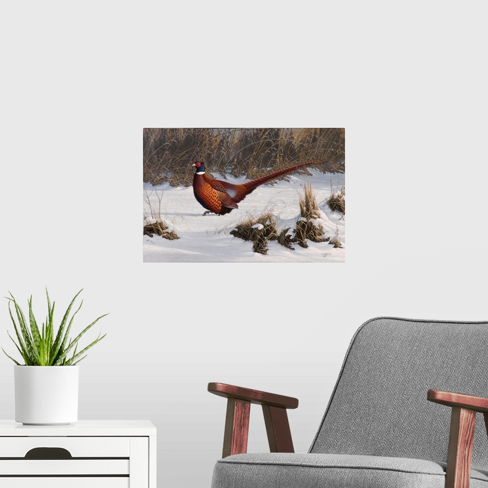 A modern room featuring Pheasant in a snowy field.