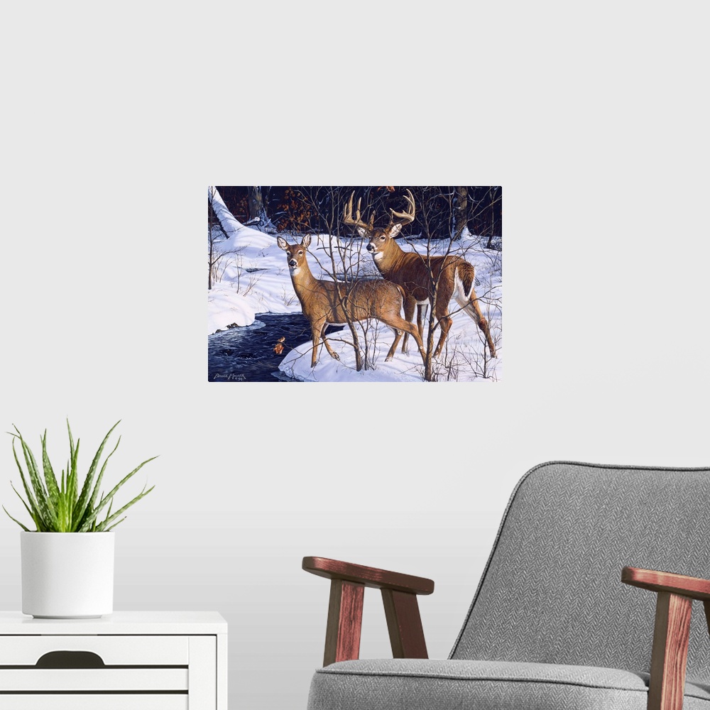 A modern room featuring A buck and a doe standing alert by a stream deer.