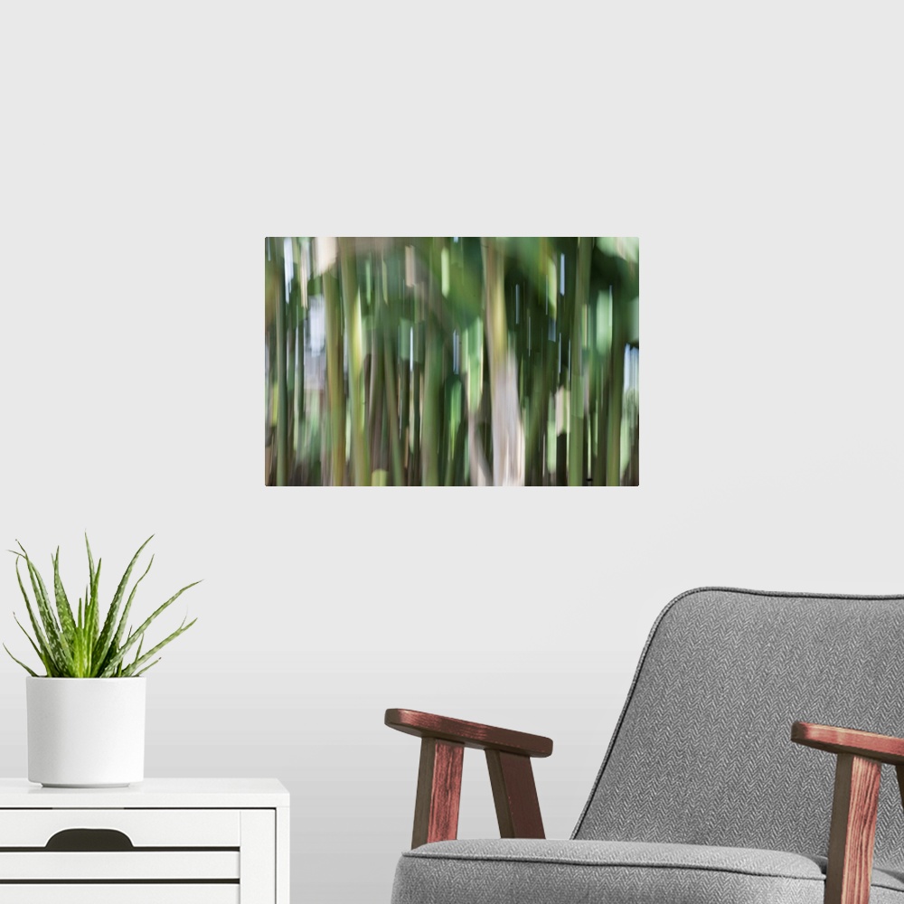 A modern room featuring Impressionist photograph taken in a botanic gardens bamboo section.