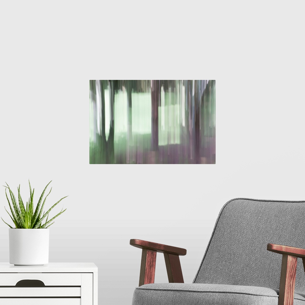 A modern room featuring Impressionist photograph taken in a botanic garden's forest section.