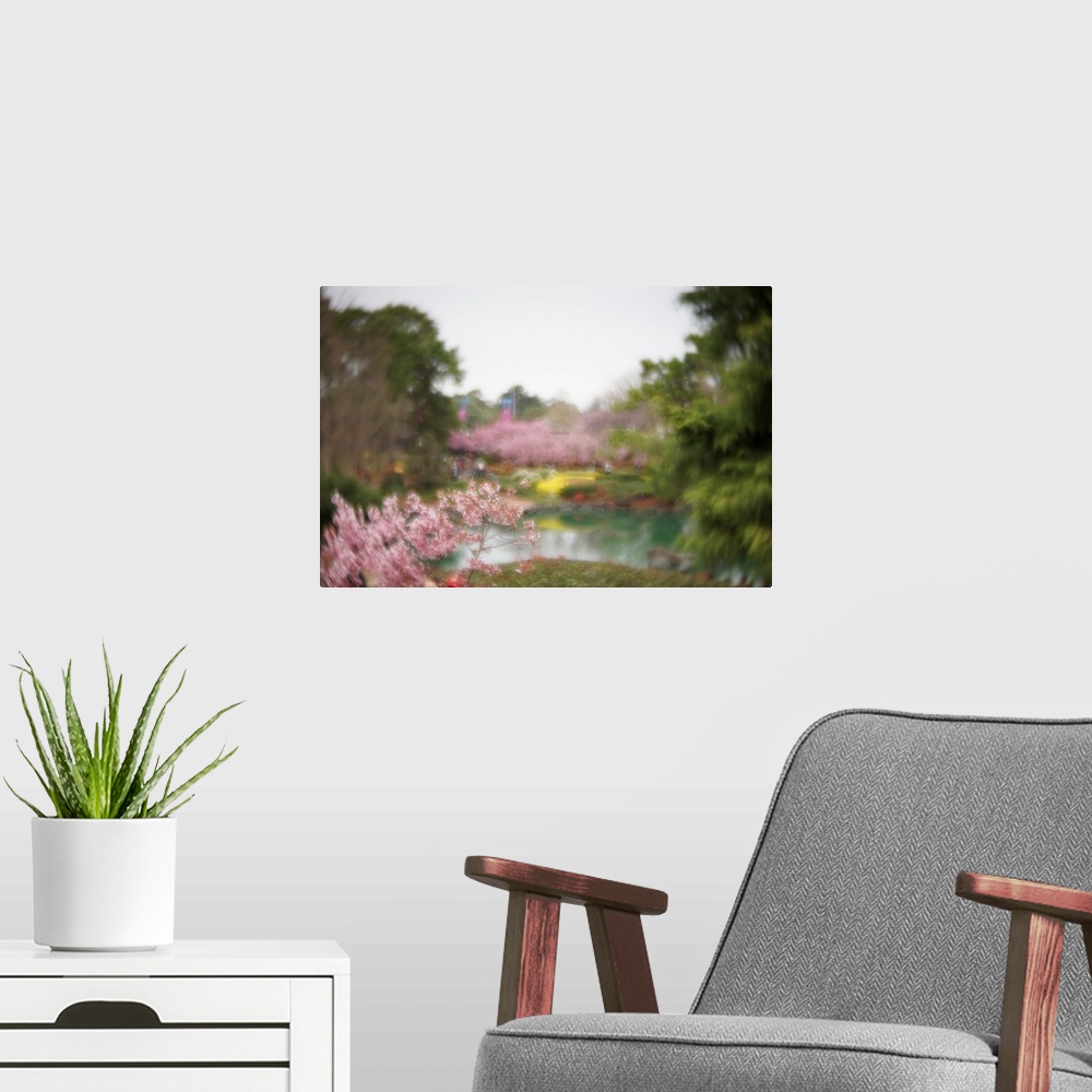 A modern room featuring Dreamy photograph that captures the ambience of a cherry blossom garden.
