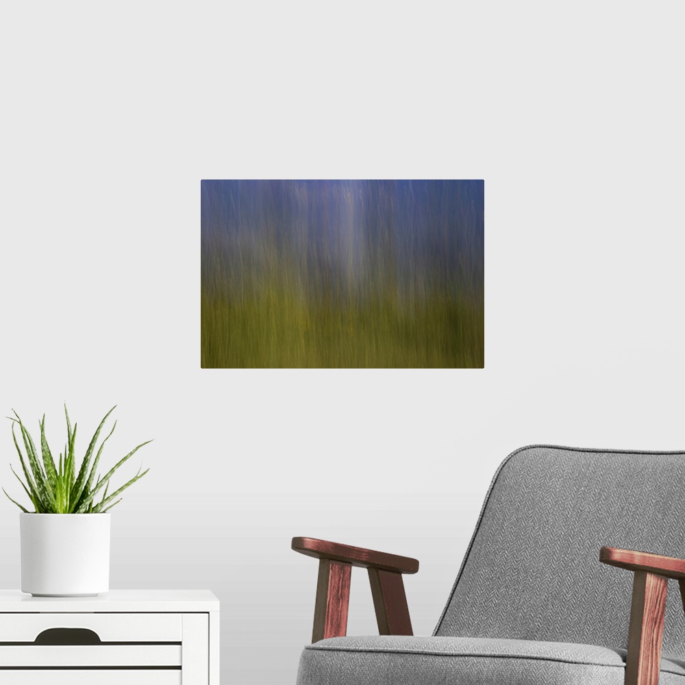 A modern room featuring Impressionist photograph of a dreamy blue and green ambience.