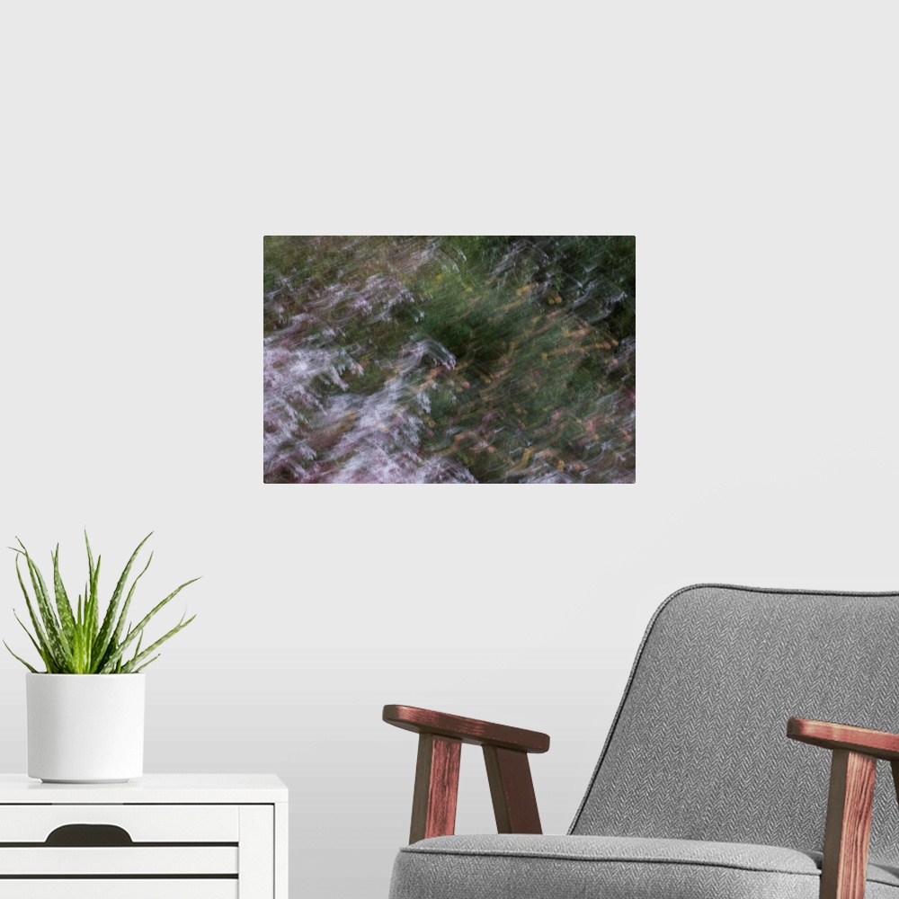 A modern room featuring Impressionist photograph of a flower garden.