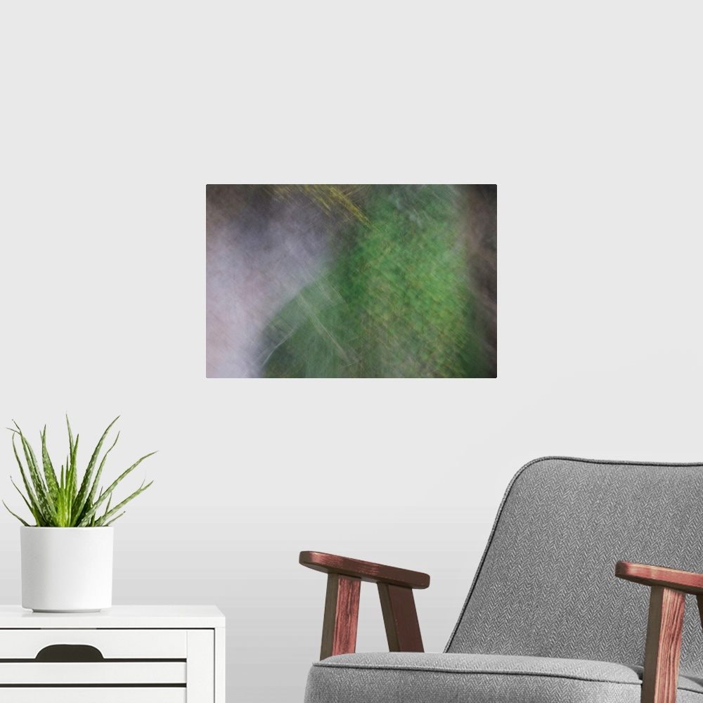 A modern room featuring Abstract photograph of a calm ambience of green.