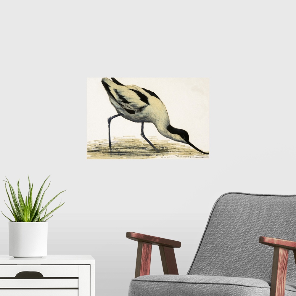 A modern room featuring Avocet
