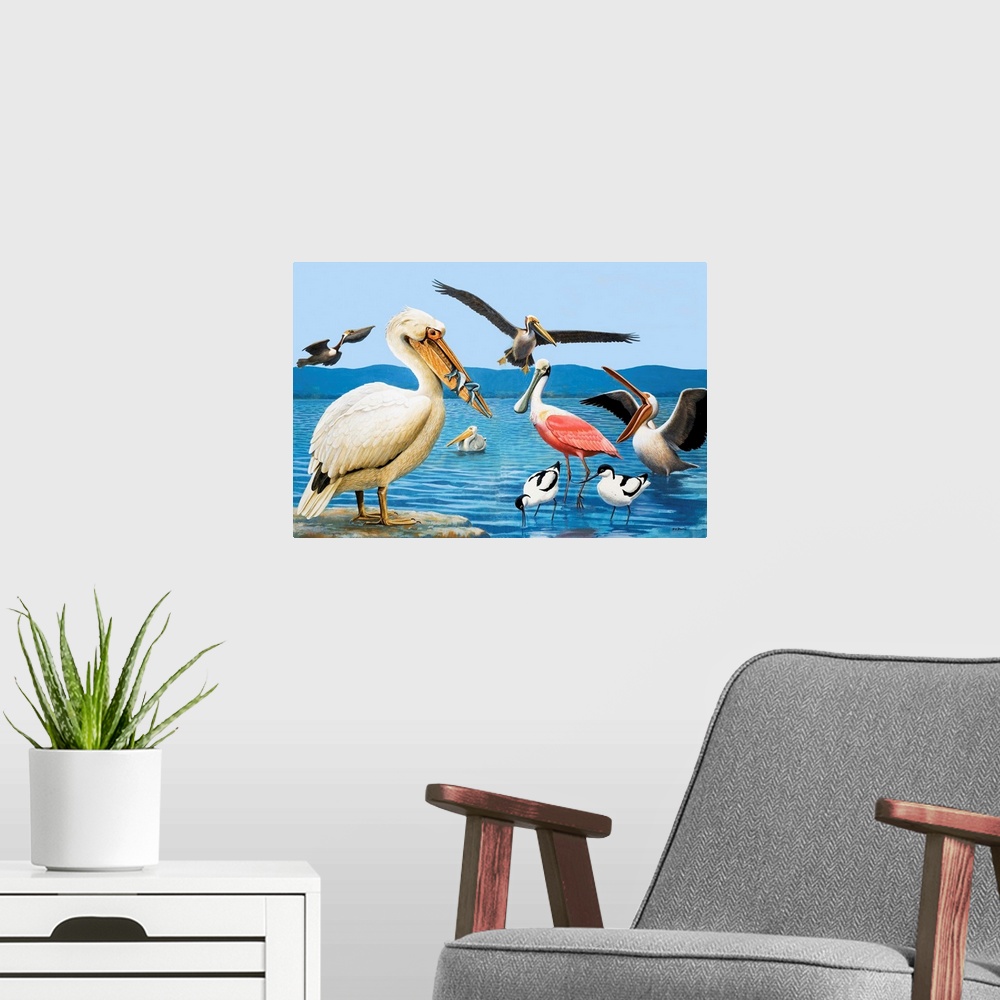 A modern room featuring Birds with strange beaks. Pelican, Brown Pelican, Roseate Spoonbill, and Avocet. Original artwork...