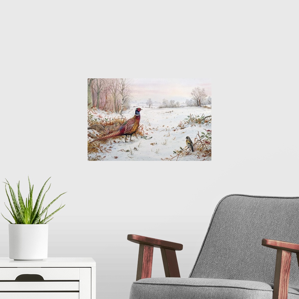 A modern room featuring Pheasant and bramblefinch in the snow