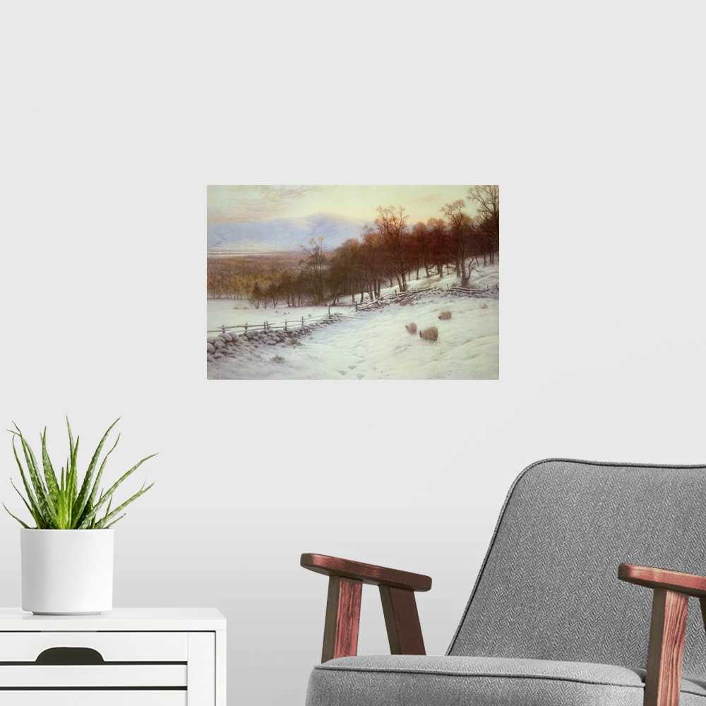 A modern room featuring Snow Covered Fields with Sheep