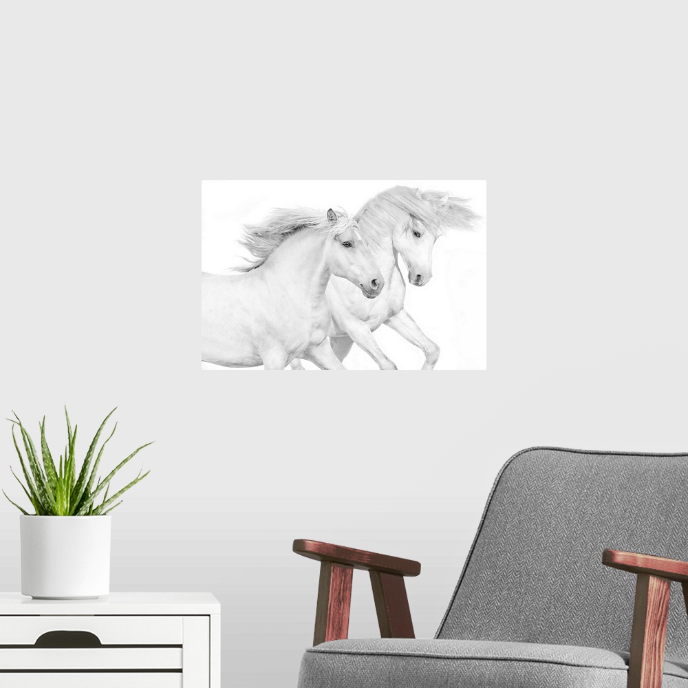 A modern room featuring Photograph of galloping white horses against a white background.