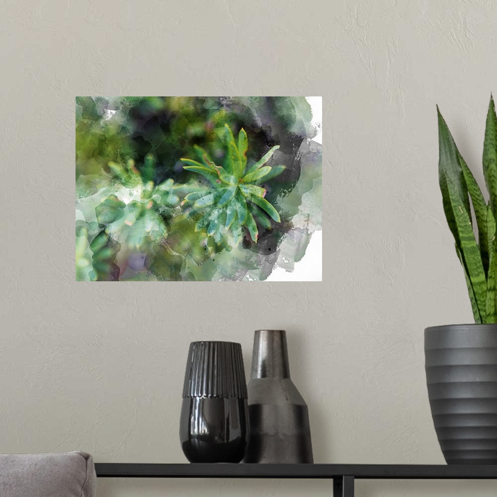 A modern room featuring Succulent Leaves