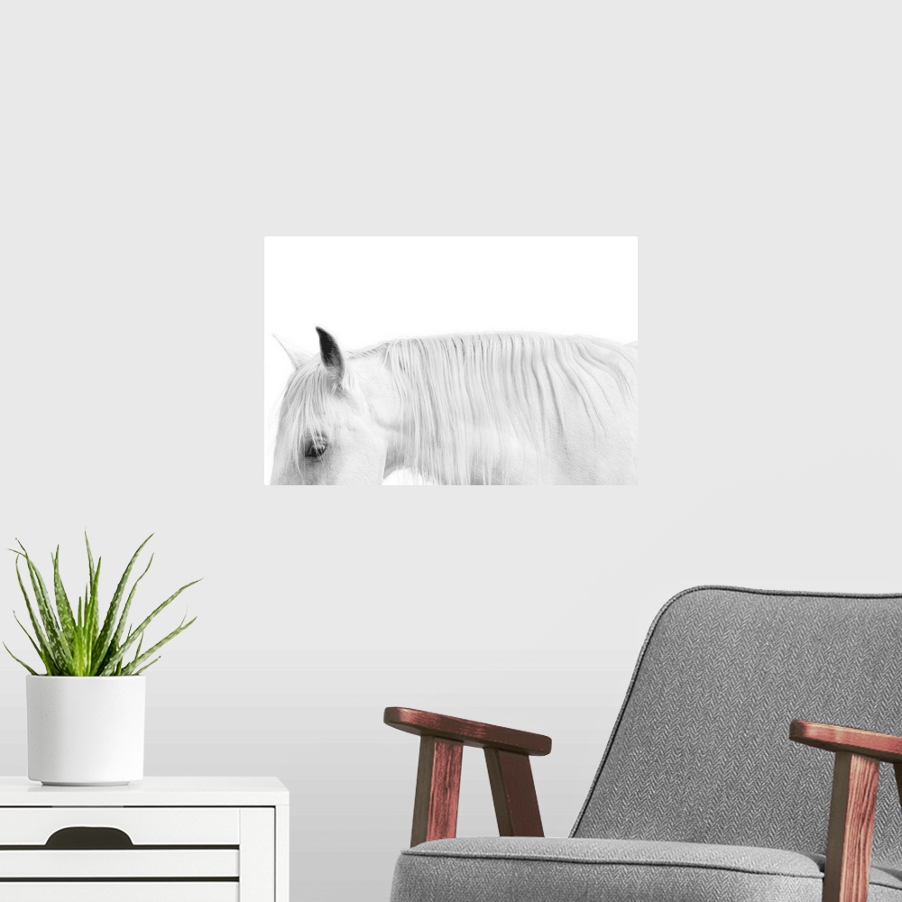 A modern room featuring Close-up photograph of a white horse against a white background.
