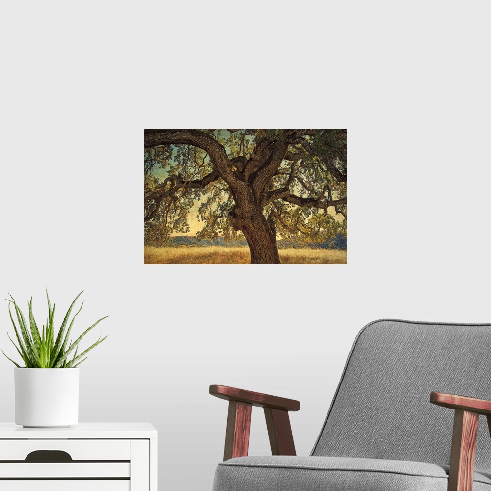 A modern room featuring A horizontal photograph of a large, twisted oak tree surrounded by a golden field.