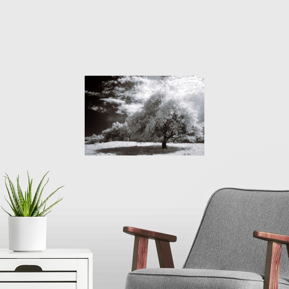 A modern room featuring An infrared photograph of a beautiful landscape with large clouds.