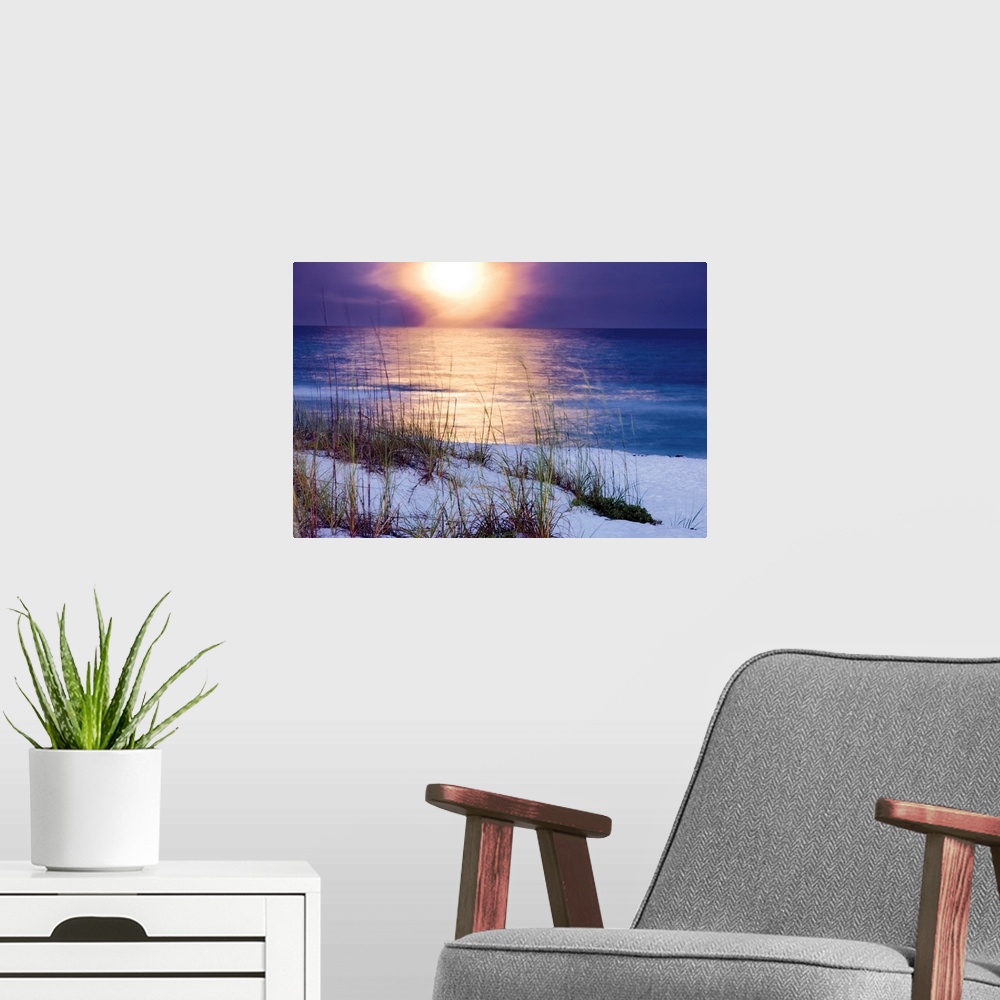 A modern room featuring Photograph of the raising moon over the ocean shore and dunes.