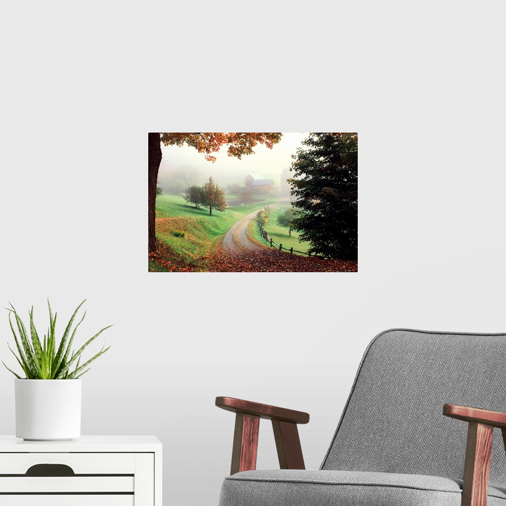 A modern room featuring A tranquil setting of a country road leading to a farm in the misty morning.