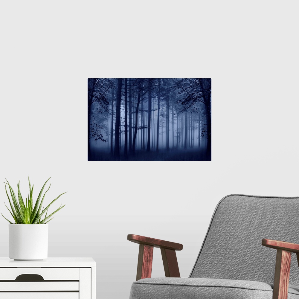 A modern room featuring Trees Blue