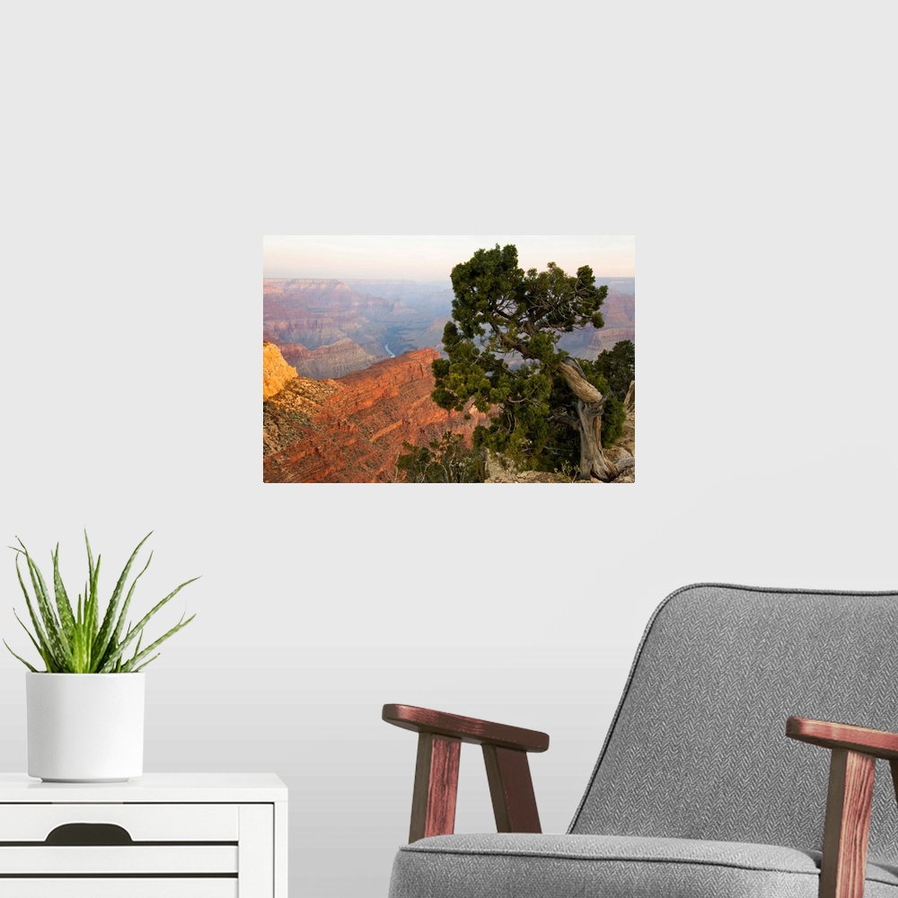 A modern room featuring Arizona, Grand Canyon National Point, Grand Canyon at Dawn from Hopi Point.