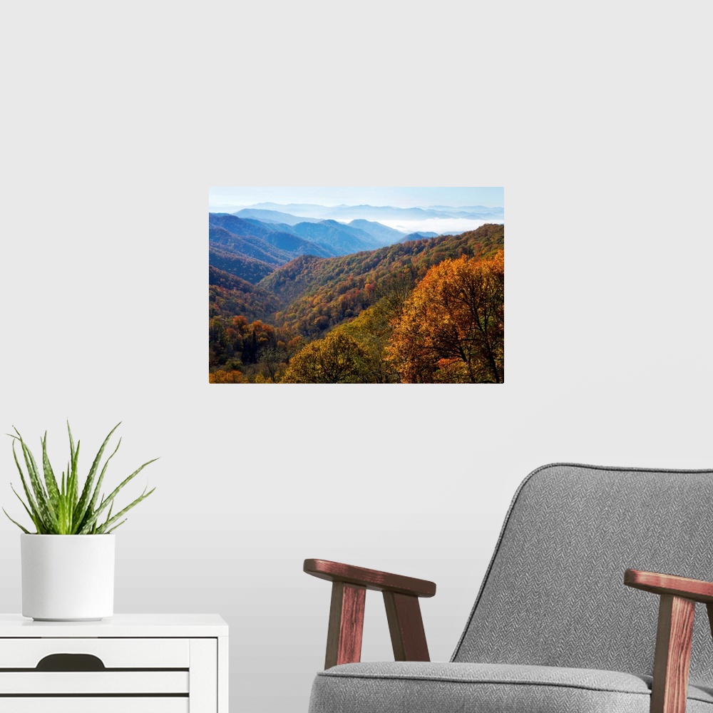 A modern room featuring Autumn color on trees, mountain vista, fog in valley, Great Smoky Mountain National Park, Tennessee