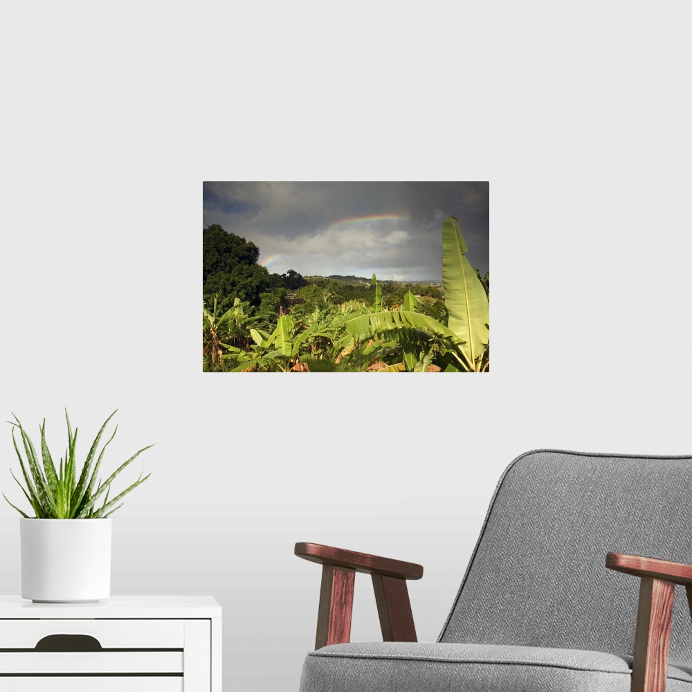 A modern room featuring BARBADOS, St. Joseph Parish, Grey Clouds, Rainbow, Tropical Vegetation
